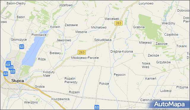 mapa Żelazków gmina Słupca, Żelazków gmina Słupca na mapie Targeo