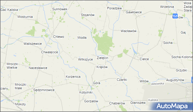 mapa Zielęcin gmina Warta, Zielęcin gmina Warta na mapie Targeo