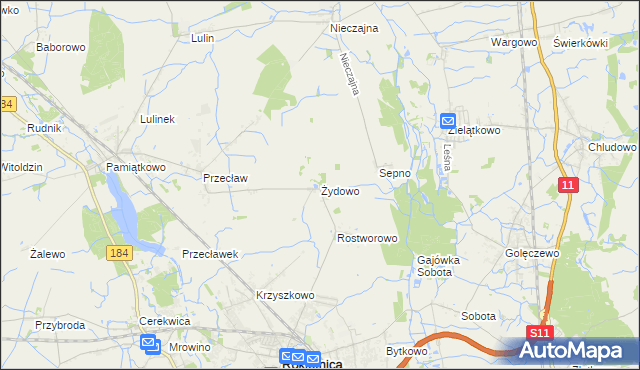 mapa Żydowo gmina Rokietnica, Żydowo gmina Rokietnica na mapie Targeo