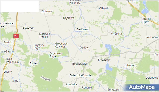 mapa Gadów, Gadów na mapie Targeo