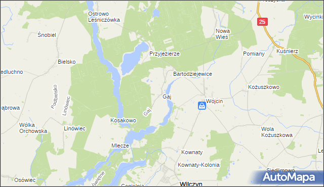 mapa Gaj gmina Jeziora Wielkie, Gaj gmina Jeziora Wielkie na mapie Targeo