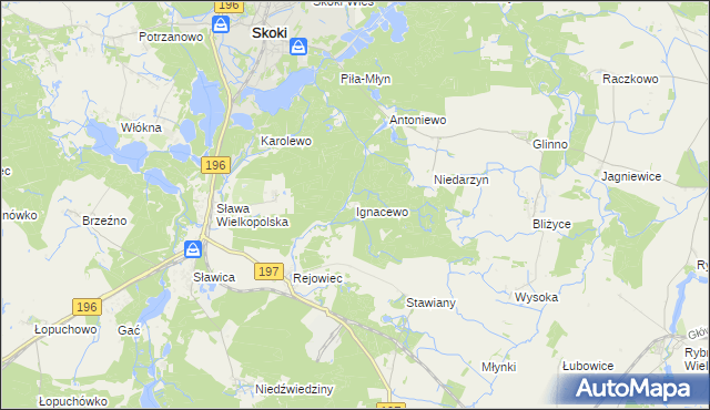 mapa Ignacewo gmina Skoki, Ignacewo gmina Skoki na mapie Targeo