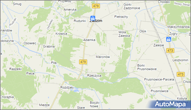 mapa Marcinów gmina Zadzim, Marcinów gmina Zadzim na mapie Targeo