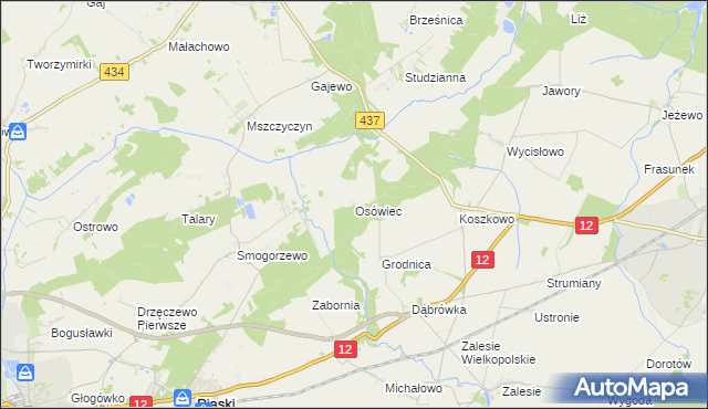 mapa Osówiec gmina Borek Wielkopolski, Osówiec gmina Borek Wielkopolski na mapie Targeo