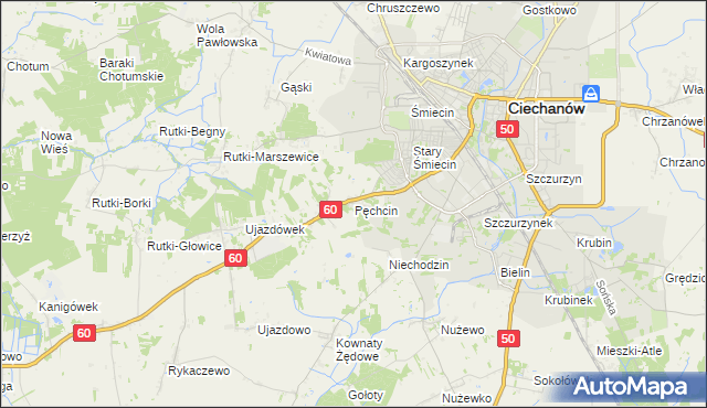 mapa Pęchcin, Pęchcin na mapie Targeo