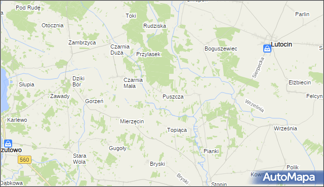 mapa Puszcza gmina Rościszewo, Puszcza gmina Rościszewo na mapie Targeo