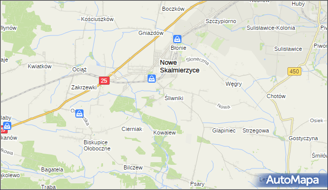 mapa Śliwniki gmina Nowe Skalmierzyce, Śliwniki gmina Nowe Skalmierzyce na mapie Targeo