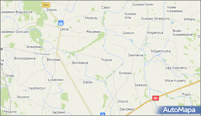 mapa Tłubice, Tłubice na mapie Targeo