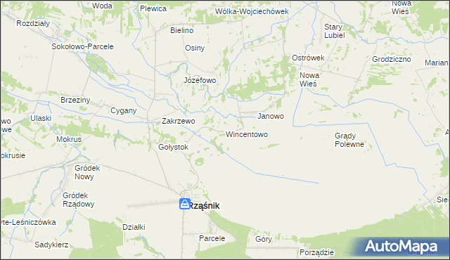 mapa Wincentowo gmina Rząśnik, Wincentowo gmina Rząśnik na mapie Targeo