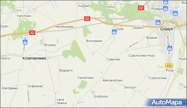 mapa Witoldowo gmina Gostyń, Witoldowo gmina Gostyń na mapie Targeo