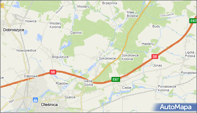 mapa Sokołowice gmina Oleśnica, Sokołowice gmina Oleśnica na mapie Targeo