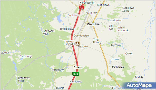 mapa Bąkowo gmina Warlubie, Bąkowo gmina Warlubie na mapie Targeo