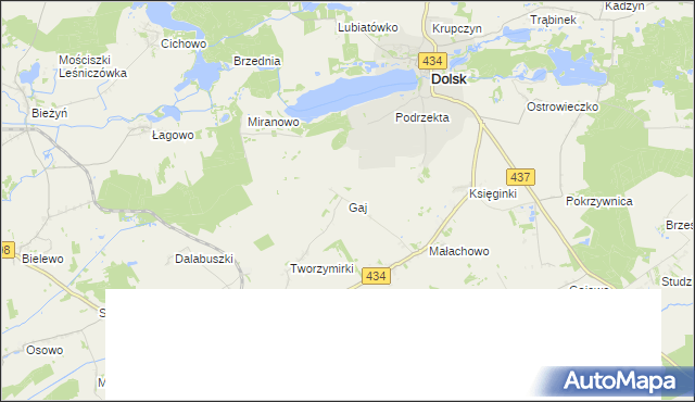 mapa Gaj gmina Gostyń, Gaj gmina Gostyń na mapie Targeo