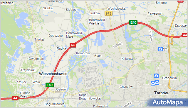 mapa Biała gmina Tarnów, Biała gmina Tarnów na mapie Targeo