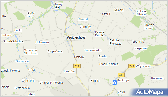 mapa Tomaszówka gmina Wojciechów, Tomaszówka gmina Wojciechów na mapie Targeo