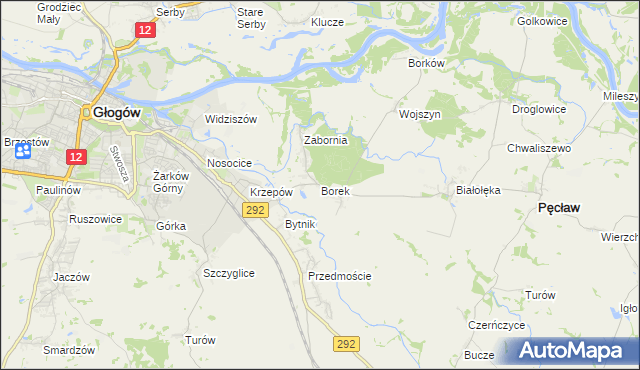 mapa Borek gmina Głogów, Borek gmina Głogów na mapie Targeo