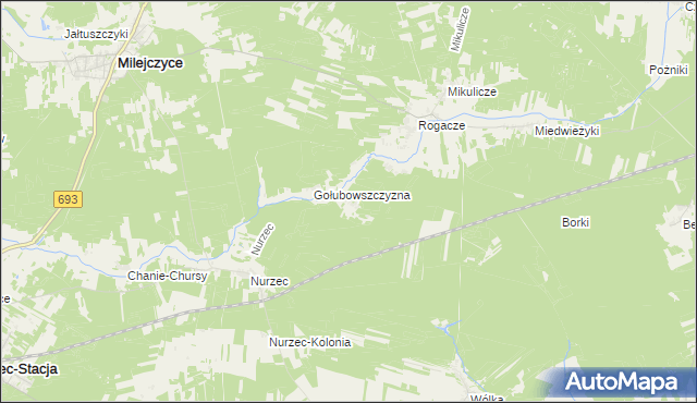 mapa Borowiki, Borowiki na mapie Targeo