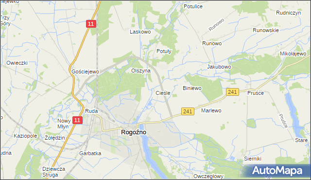 mapa Cieśle gmina Rogoźno, Cieśle gmina Rogoźno na mapie Targeo