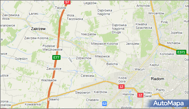 mapa Milejowice gmina Zakrzew, Milejowice gmina Zakrzew na mapie Targeo