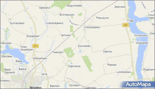 mapa Sosnowca, Sosnówiec na mapie Targeo