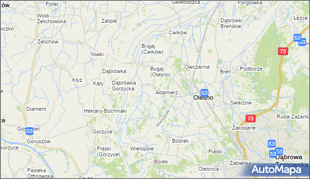 mapa Adamierz gmina Olesno, Adamierz gmina Olesno na mapie Targeo