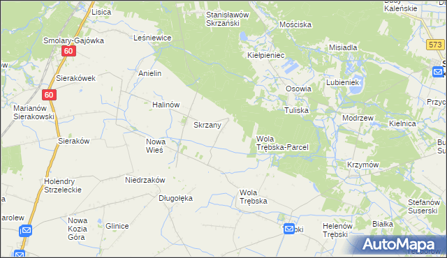 mapa Feliksów gmina Gostynin, Feliksów gmina Gostynin na mapie Targeo