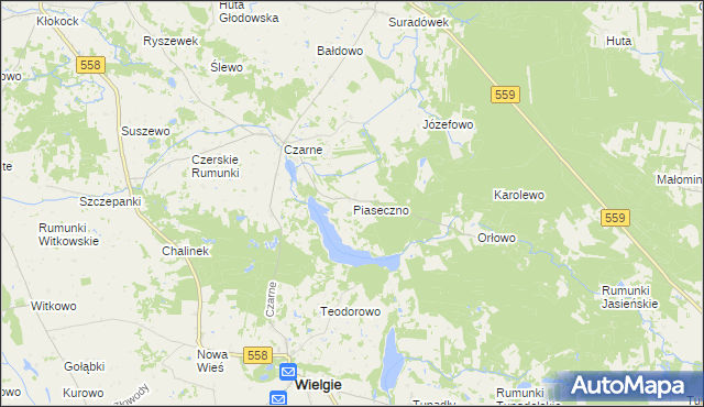 mapa Piaseczno gmina Wielgie, Piaseczno gmina Wielgie na mapie Targeo