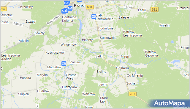 mapa Sałki gmina Pionki, Sałki gmina Pionki na mapie Targeo