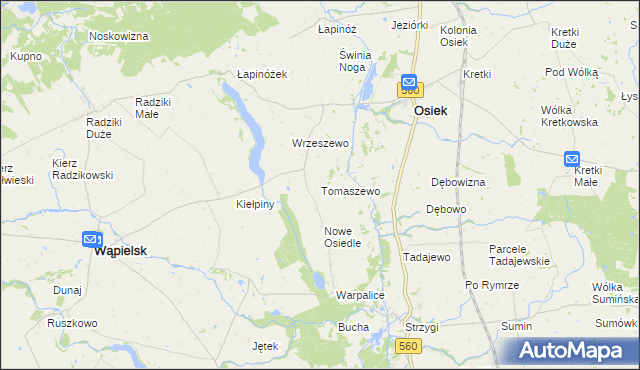 mapa Tomaszewo gmina Osiek, Tomaszewo gmina Osiek na mapie Targeo