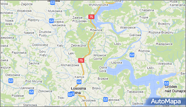 mapa Witowice Górne, Witowice Górne na mapie Targeo