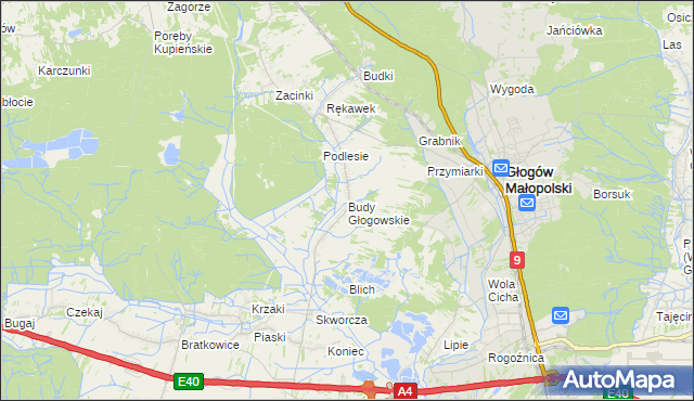 mapa Budy Głogowskie, Budy Głogowskie na mapie Targeo