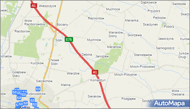 mapa Janiszew gmina Strzelce, Janiszew gmina Strzelce na mapie Targeo