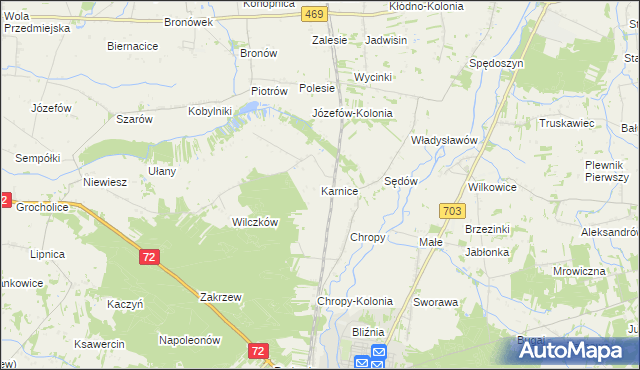 mapa Karnice gmina Poddębice, Karnice gmina Poddębice na mapie Targeo