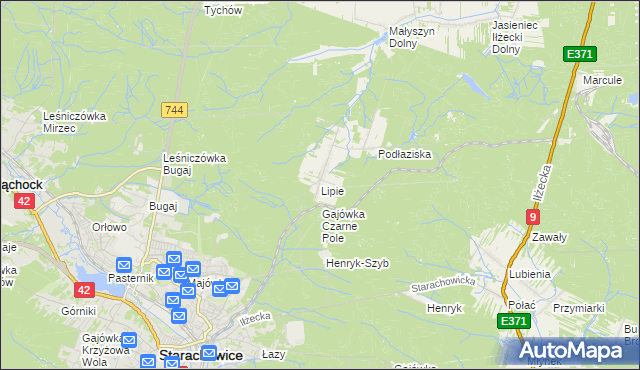 mapa Lipie gmina Brody, Lipie gmina Brody na mapie Targeo
