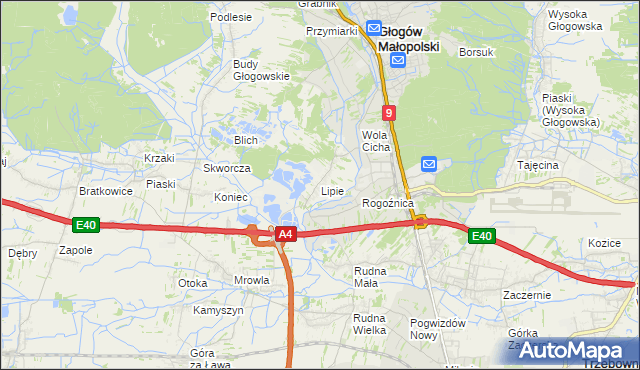 mapa Lipie gmina Głogów Małopolski, Lipie gmina Głogów Małopolski na mapie Targeo