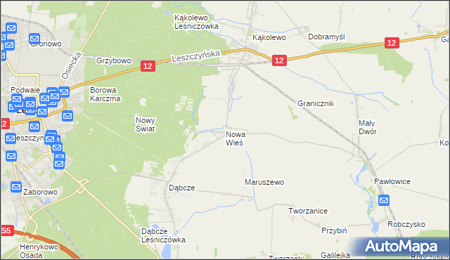 mapa Nowa Wieś gmina Rydzyna, Nowa Wieś gmina Rydzyna na mapie Targeo