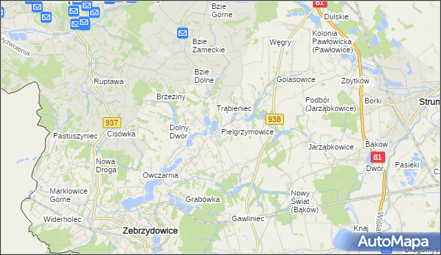 mapa Pielgrzymowice gmina Pawłowice, Pielgrzymowice gmina Pawłowice na mapie Targeo