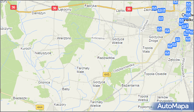mapa Radziwiłłów gmina Ostrów Wielkopolski, Radziwiłłów gmina Ostrów Wielkopolski na mapie Targeo