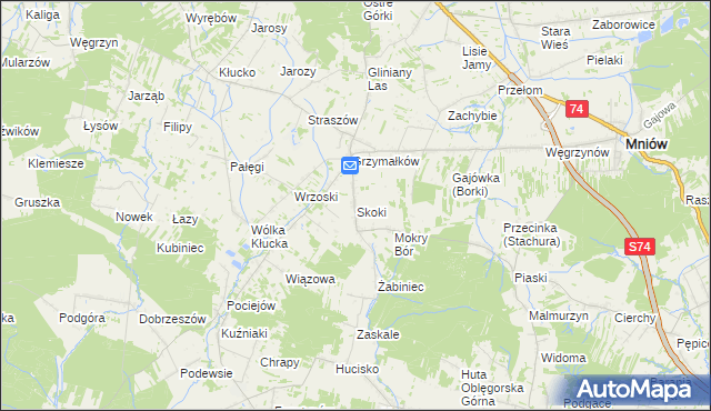 mapa Skoki gmina Mniów, Skoki gmina Mniów na mapie Targeo