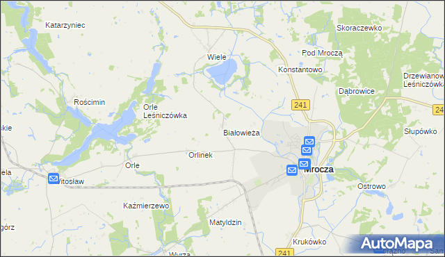 mapa Białowieża gmina Mrocza, Białowieża gmina Mrocza na mapie Targeo