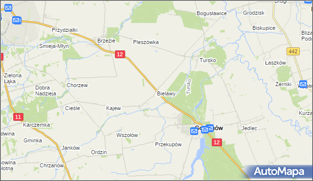 mapa Bielawy gmina Gołuchów, Bielawy gmina Gołuchów na mapie Targeo