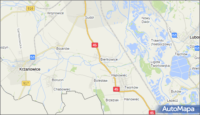 mapa Bieńkowice gmina Krzyżanowice, Bieńkowice gmina Krzyżanowice na mapie Targeo