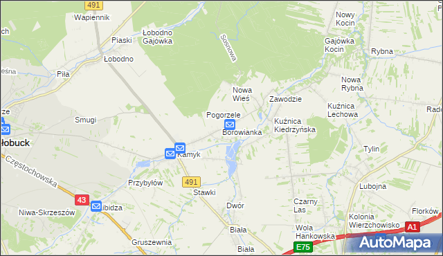 mapa Borowianka, Borowianka na mapie Targeo