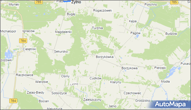mapa Borzykówka, Borzykówka na mapie Targeo