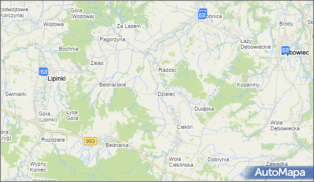 mapa Dzielec, Dzielec na mapie Targeo