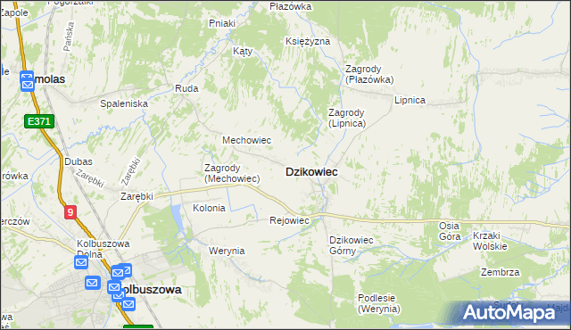 mapa Dzikowiec powiat kolbuszowski, Dzikowiec powiat kolbuszowski na mapie Targeo