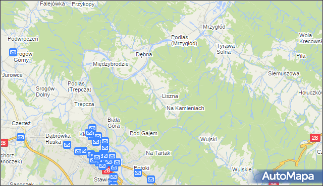 mapa Liszna gmina Sanok, Liszna gmina Sanok na mapie Targeo