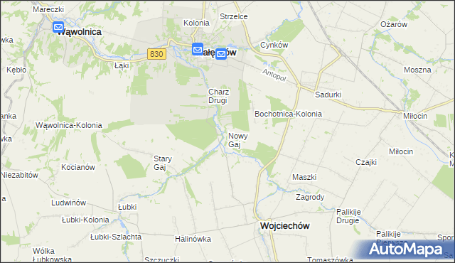 mapa Nowy Gaj gmina Wojciechów, Nowy Gaj gmina Wojciechów na mapie Targeo