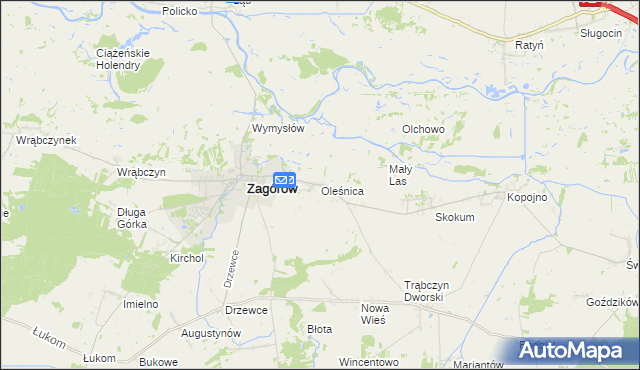 mapa Oleśnica gmina Zagórów, Oleśnica gmina Zagórów na mapie Targeo