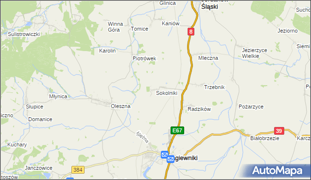 mapa Sokolniki gmina Łagiewniki, Sokolniki gmina Łagiewniki na mapie Targeo